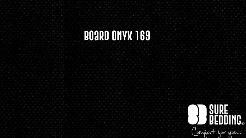 Board Onyx 169