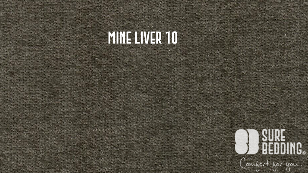 Mine liver 10