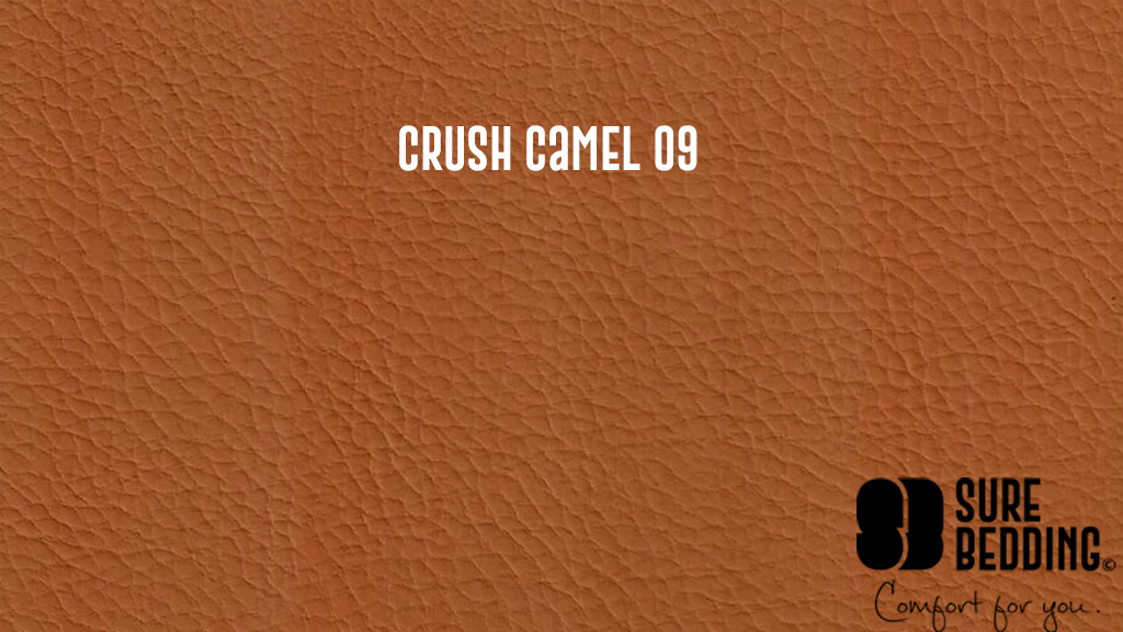 Crush camel 09